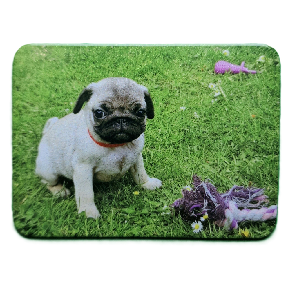 Custom Photo Fridge Magnet | Personalized any Photo Logo Magnet | 5.5 × 7.5 cm |