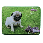 Personalised Photo Fridge Magnet 55 x 75 mm – Custom Picture Gift