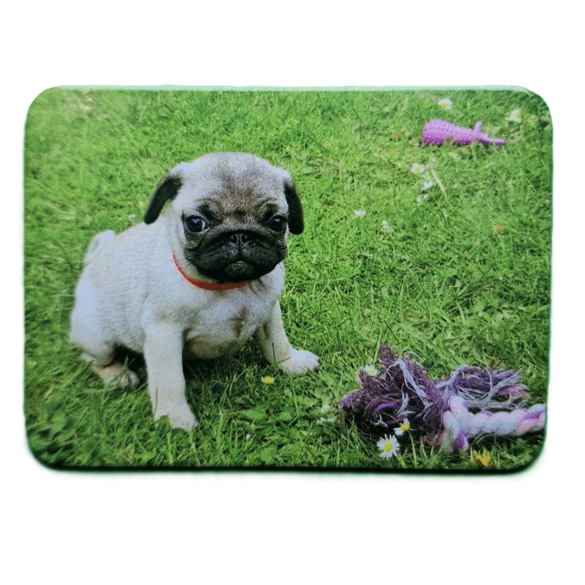 Personalised Photo Fridge Magnet 55 x 75 mm – Custom Picture Gift