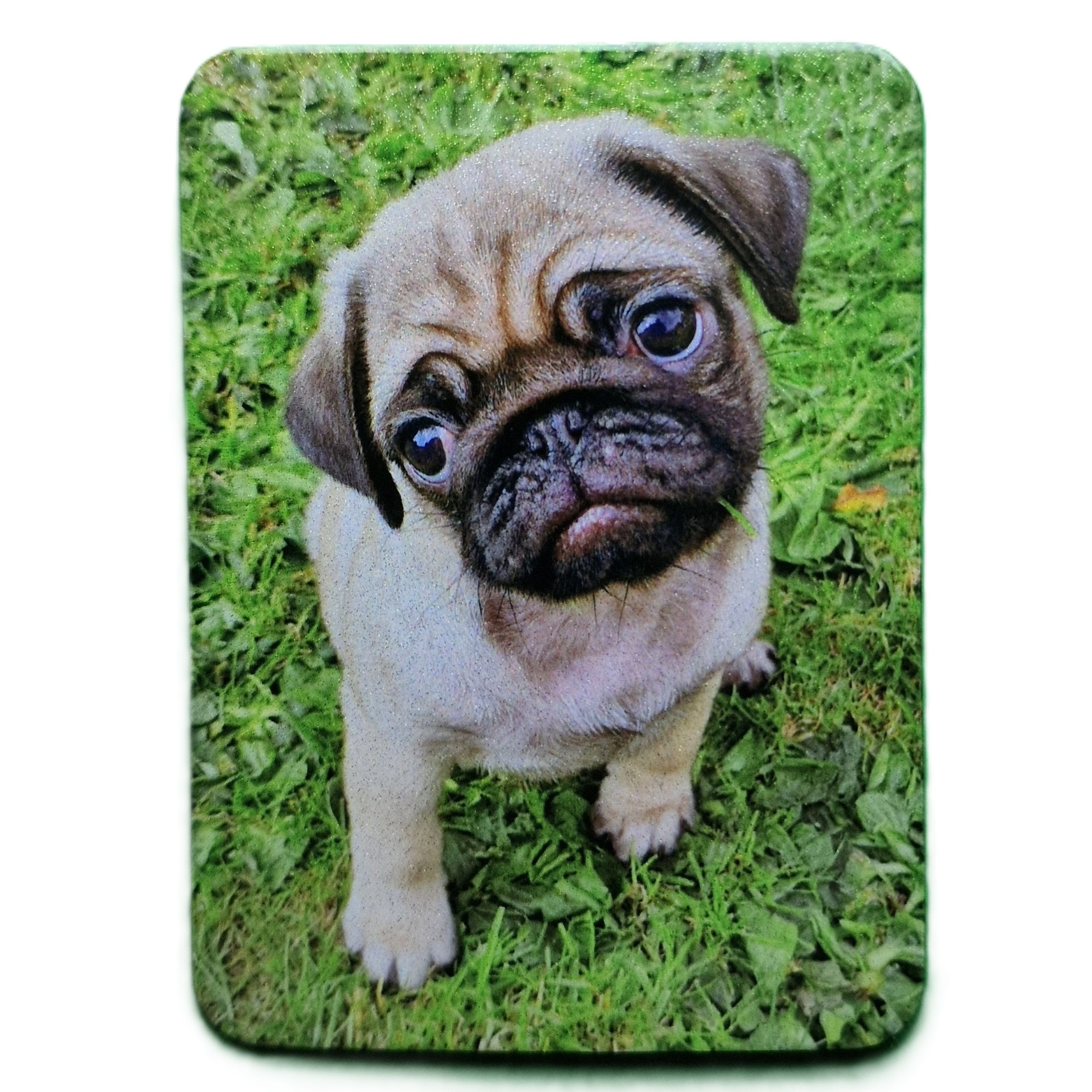 Custom Photo Fridge Magnet | Personalized any Photo Logo Magnet | 5.5 × 7.5 cm |