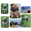 Custom Photo Fridge Magnet | Personalized any Photo Logo Magnet | 5.5 × 7.5 cm |