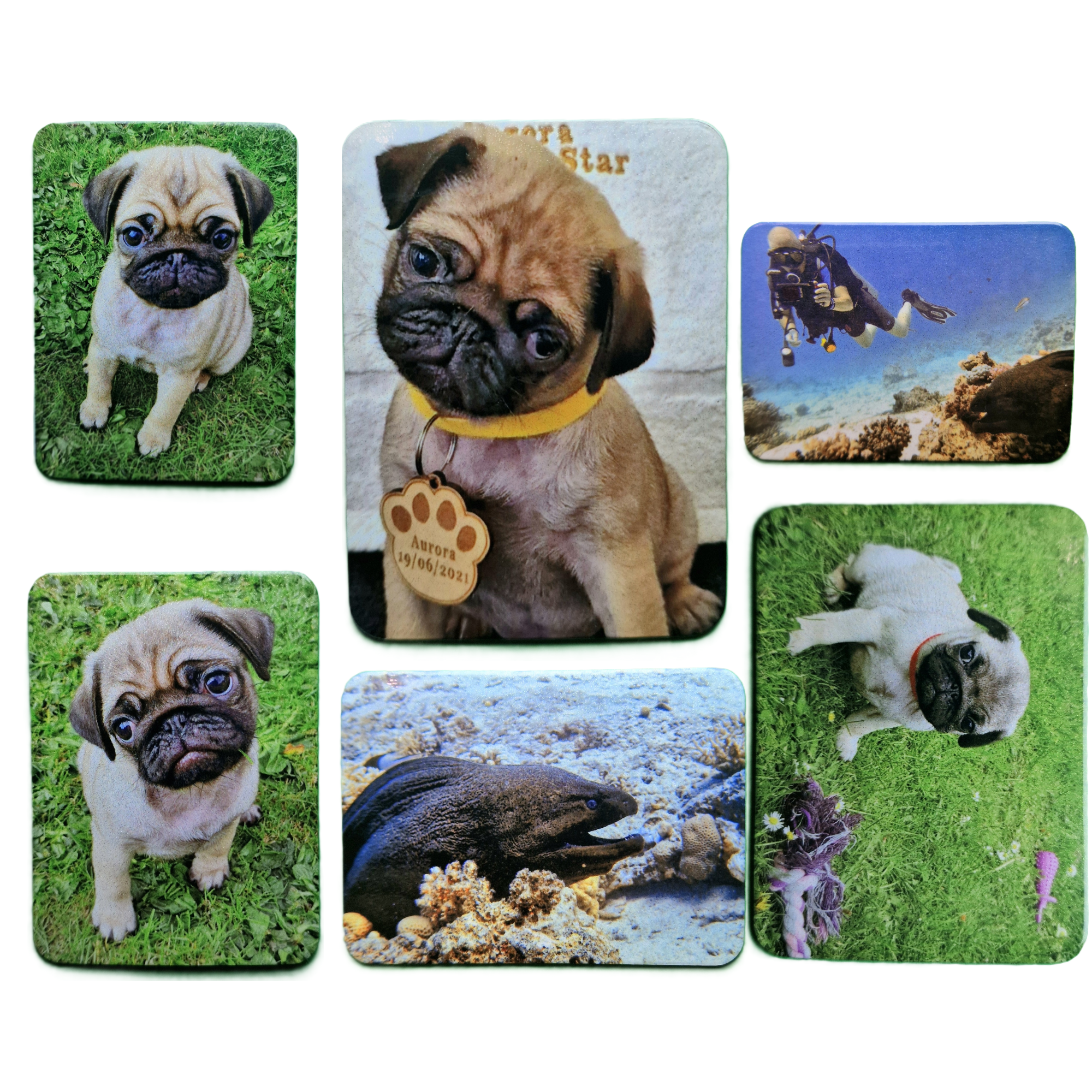 Custom Photo Fridge Magnet | Personalized any Photo Logo Magnet | 5.5 × 7.5 cm |