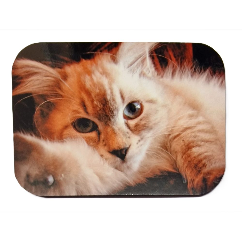 Custom MDF Fridge Magnet – Personalized Photo Magnet with Free Text 7x5 cm
