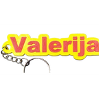 Personalised 3D Printed Name Keyring – Custom Two-Colour Bag Tag